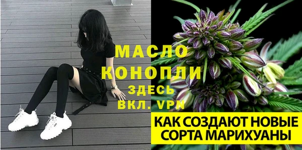 крисы Алексин