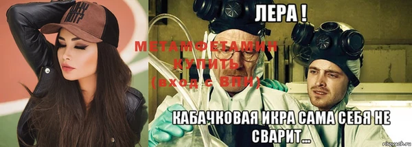 крисы Алексин