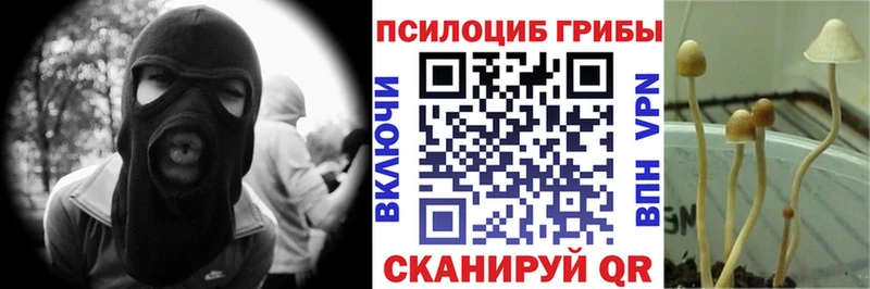 купить наркотики цена  Нелидово  Галлюциногенные грибы прущие грибы 